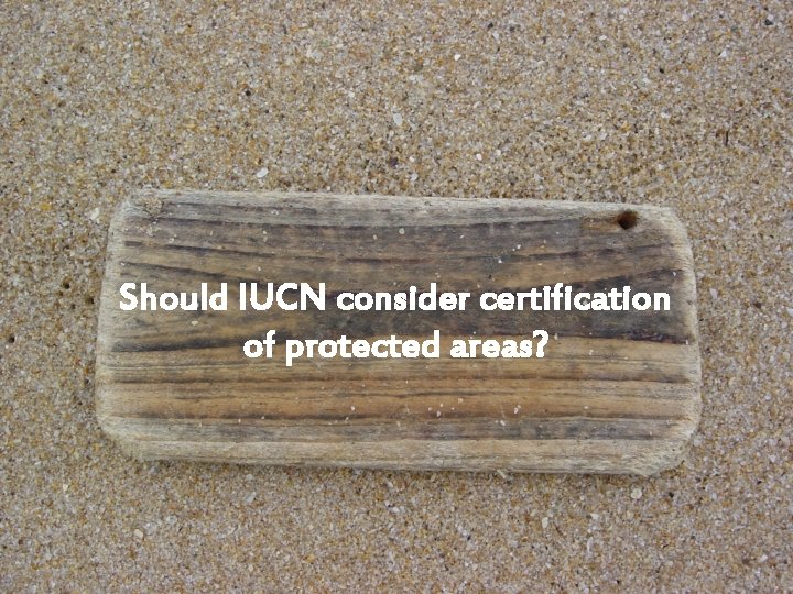 Should IUCN consider certification of protected areas? 