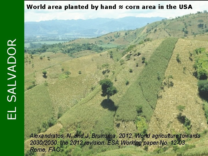 EL SALVADOR World area planted by hand ≈ corn area in the USA Alexandratos,