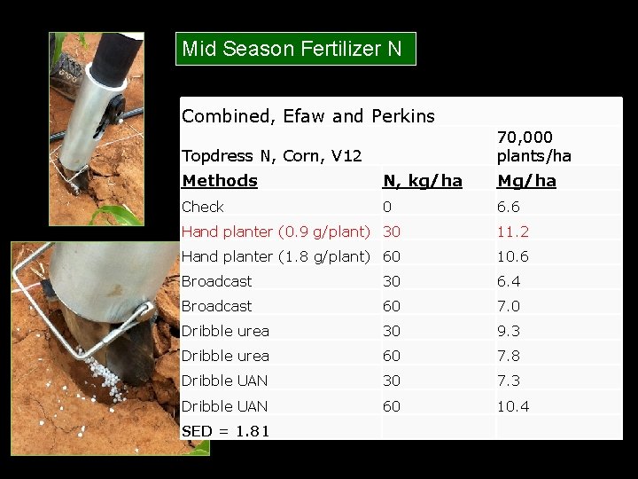 Mid Season Fertilizer N Combined, Efaw and Perkins 70, 000 plants/ha Topdress N, Corn,