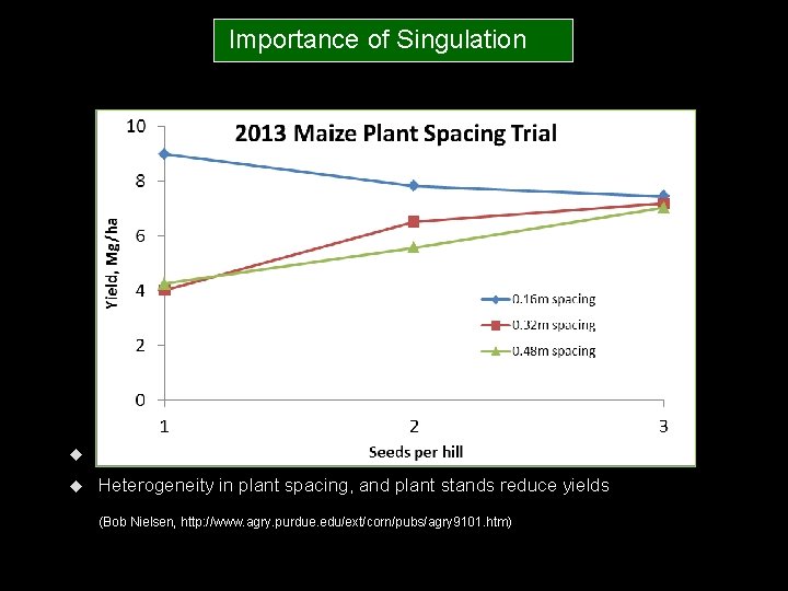  Importance of Singulation 0. 76 m Row Spacing Heterogeneity in plant spacing, and