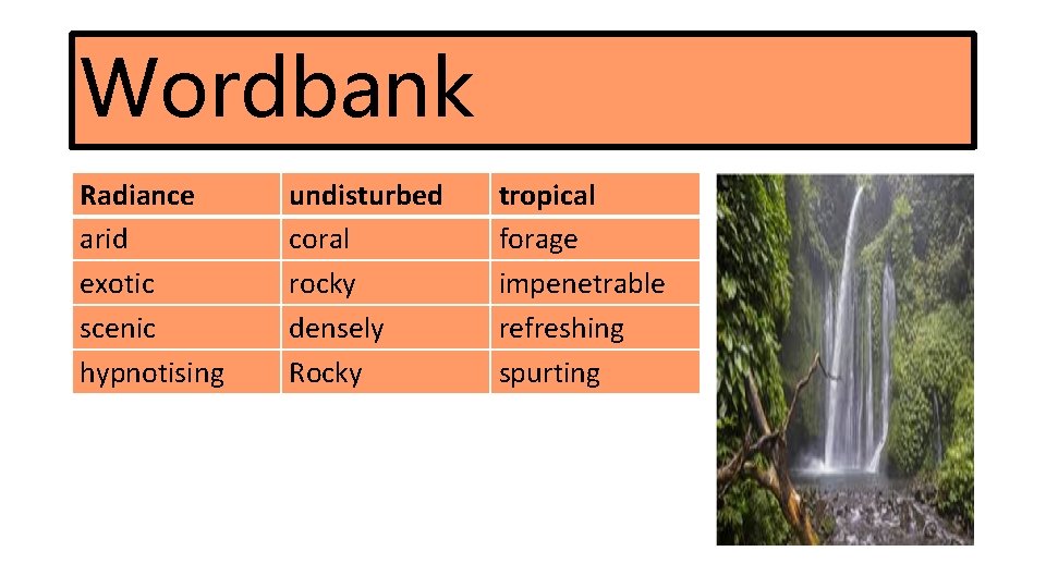 Wordbank Radiance arid exotic scenic hypnotising undisturbed coral rocky densely Rocky tropical forage impenetrable