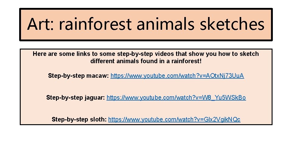 Art: rainforest animals sketches Here are some links to some step-by-step videos that show