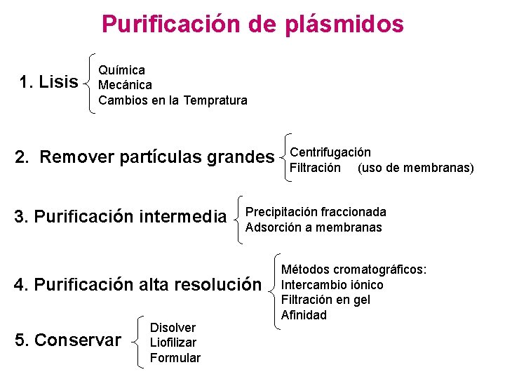 Purificación de plásmidos 1. Lisis Química Mecánica Cambios en la Tempratura 2. Remover partículas