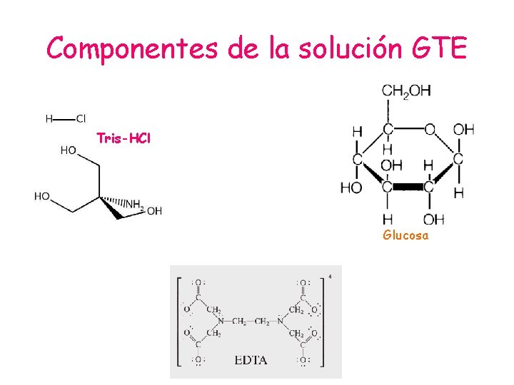 Componentes de la solución GTE Tris-HCl Glucosa 