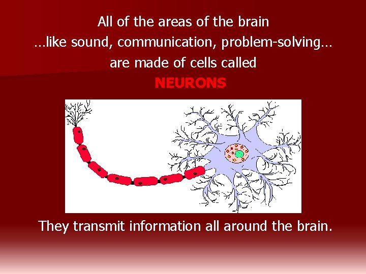 All of the areas of the brain …like sound, communication, problem-solving… are made of