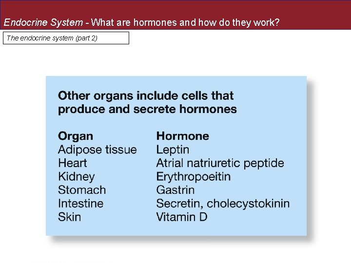 Endocrine System - What are hormones and how do they work? The endocrine system