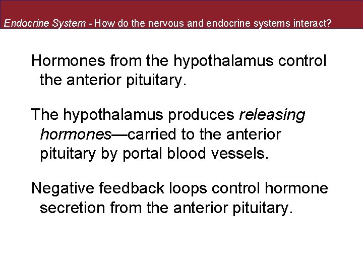 Endocrine System - How do the nervous and endocrine systems interact? Hormones from the Endocrine System - How do the nervous and endocrine systems interact? Hormones from the
