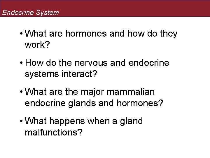 Endocrine System • What are hormones and how do they work? • How do