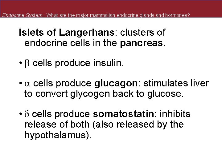 Endocrine System - What are the major mammalian endocrine glands and hormones? Islets of