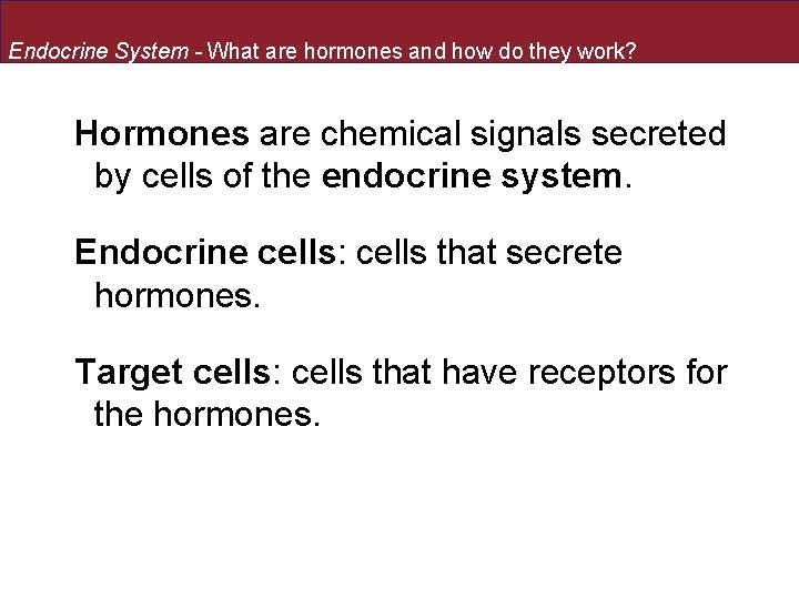 Endocrine System - What are hormones and how do they work? Hormones are chemical Endocrine System - What are hormones and how do they work? Hormones are chemical