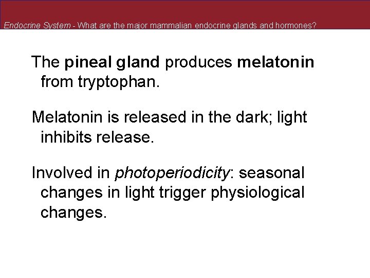 Endocrine System - What are the major mammalian endocrine glands and hormones? The pineal