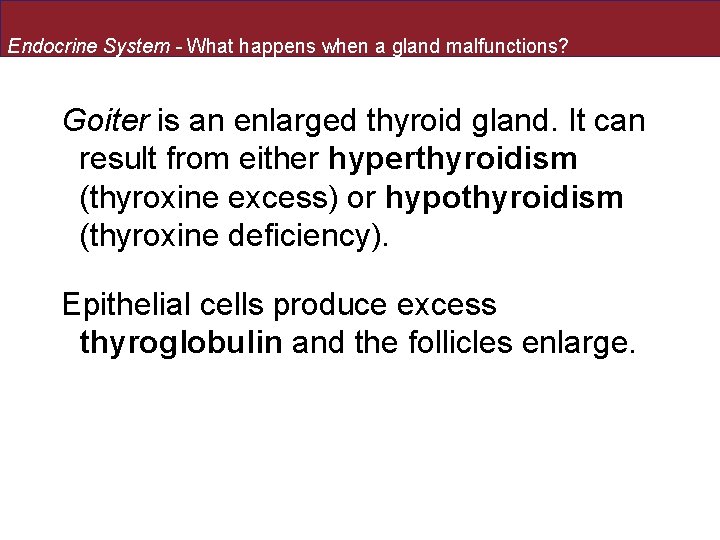 Endocrine System - What happens when a gland malfunctions? Goiter is an enlarged thyroid Endocrine System - What happens when a gland malfunctions? Goiter is an enlarged thyroid