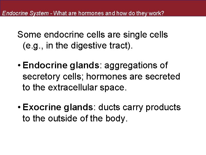Endocrine System - What are hormones and how do they work? Some endocrine cells