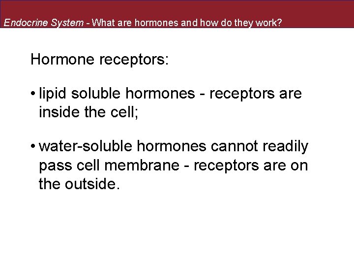 Endocrine System - What are hormones and how do they work? Hormone receptors: •