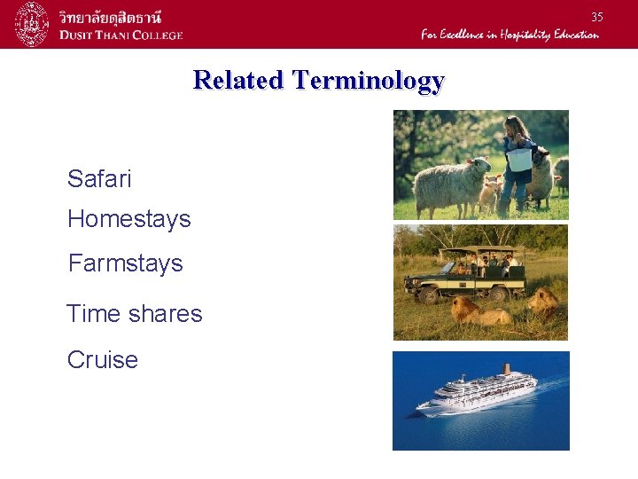 35 Related Terminology Safari Homestays Farmstays Time shares Cruise 