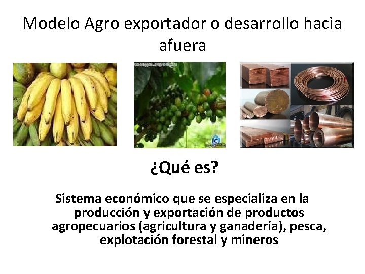 Modelo Agro exportador o desarrollo hacia afuera ¿Qué es? Sistema económico que se especializa