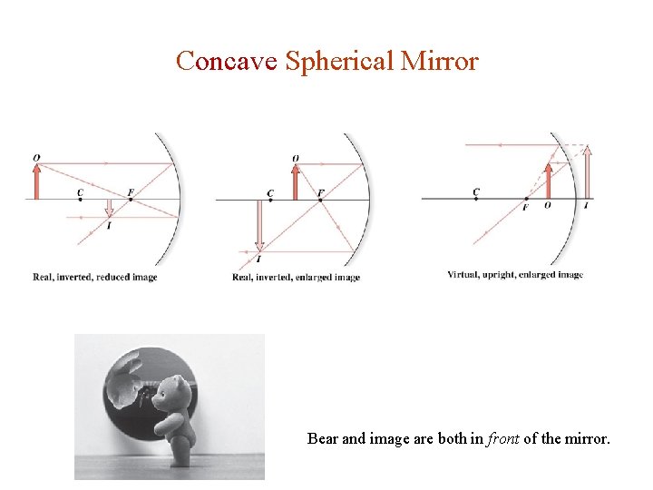 Concave Spherical Mirror Bear and image are both in front of the mirror. Concave Spherical Mirror Bear and image are both in front of the mirror.