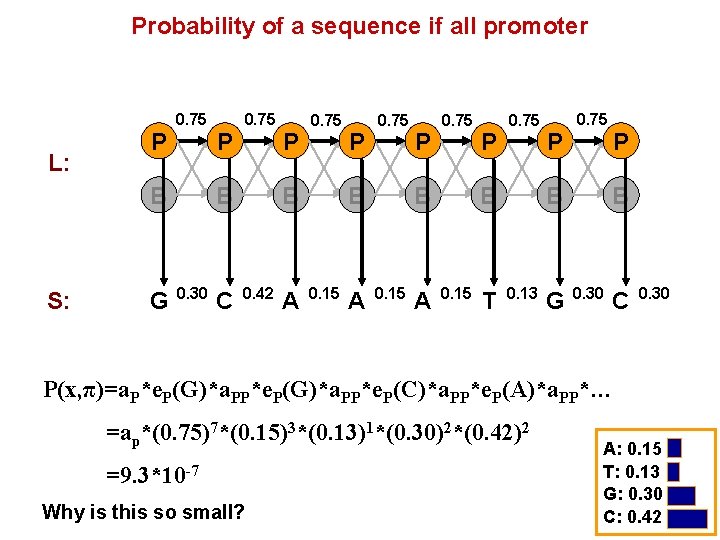 Probability of a sequence if all promoter L: P 0. 75 B S: G