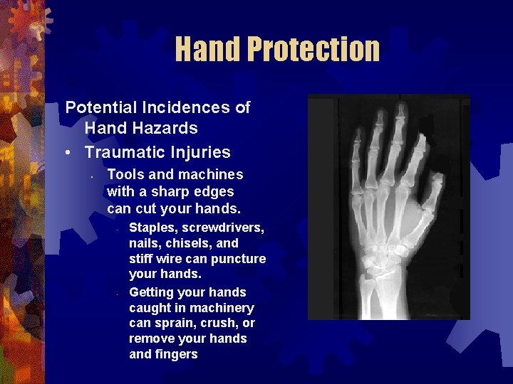 Hand Protection Potential Incidences of Hand Hazards • Traumatic Injuries • Tools and machines