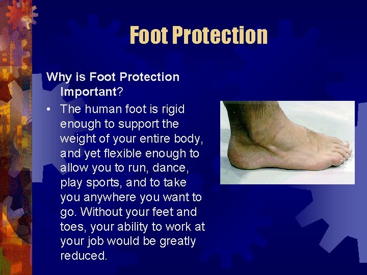 Foot Protection Why is Foot Protection Important? • The human foot is rigid enough