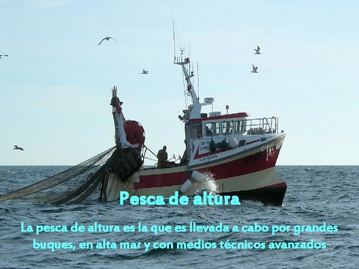 Pesca de altura La pesca de altura es la que es llevada a cabo Pesca de altura La pesca de altura es la que es llevada a cabo