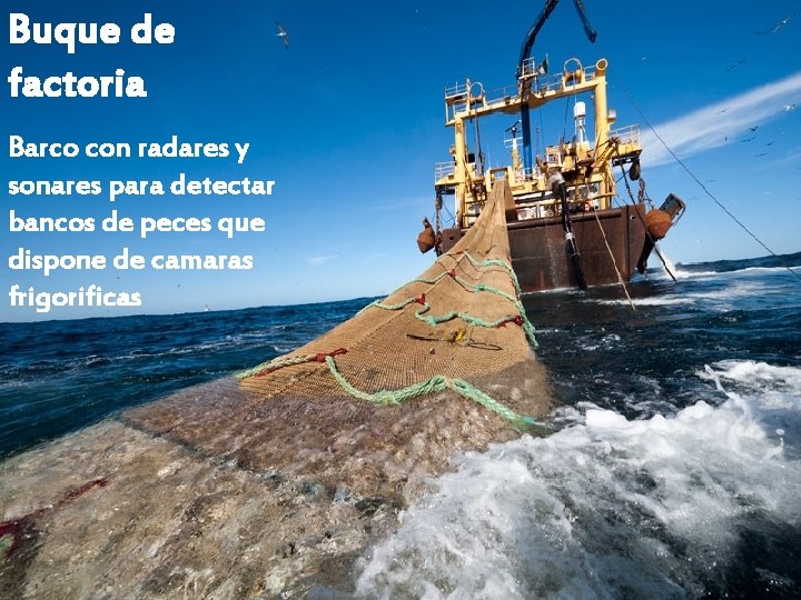 Buque de factoria Barco con radares y sonares para detectar bancos de peces que Buque de factoria Barco con radares y sonares para detectar bancos de peces que