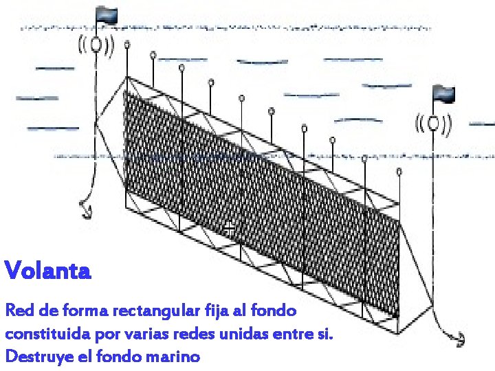 Volanta Red de forma rectangular fija al fondo constituida por varias redes unidas entre