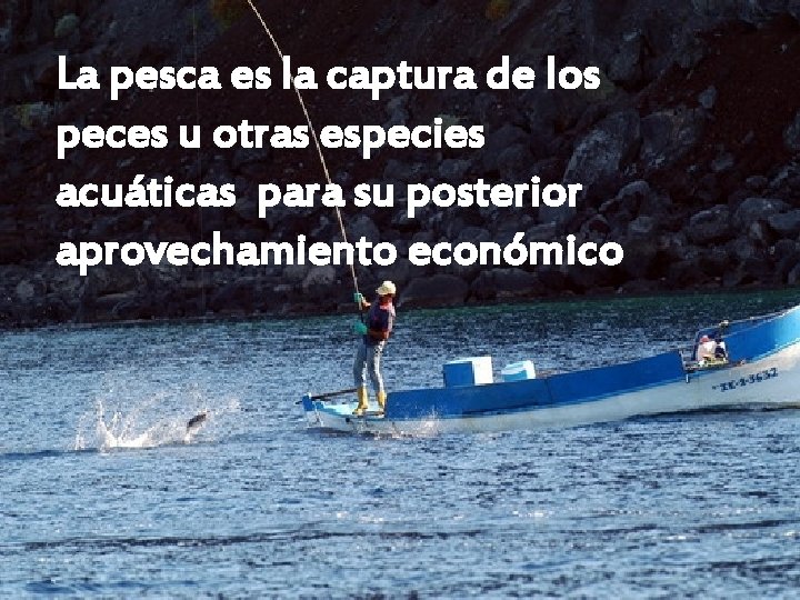 La pesca es la captura de los Pesca peces u otras especies • Definicion: