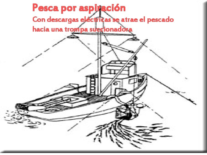 Pesca por aspiración Con descargas eléctricas se atrae el pescado hacia una trompa succionadora Pesca por aspiración Con descargas eléctricas se atrae el pescado hacia una trompa succionadora