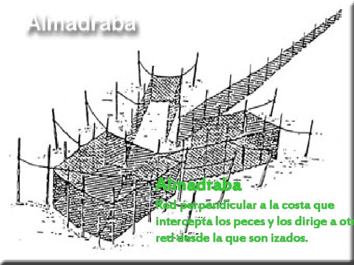 Almadraba Red perpendicular a la costa que intercepta los peces y los dirige a