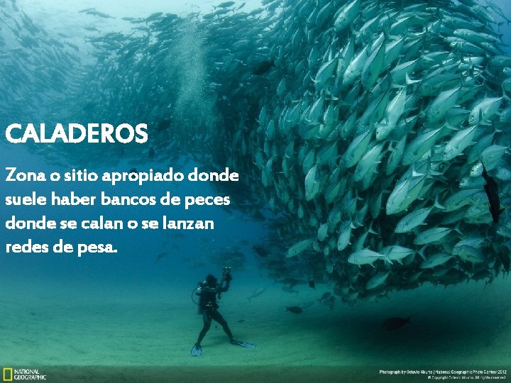 CALADEROS Zona o sitio apropiado donde suele haber bancos de peces donde se calan