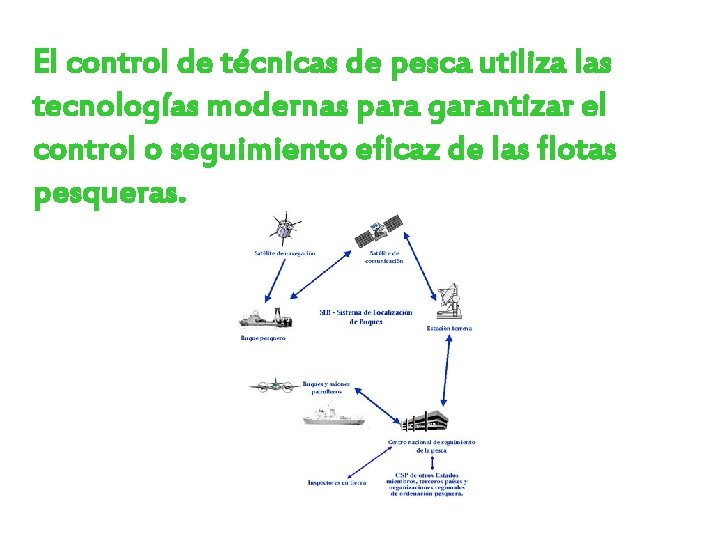 El control de técnicas de pesca utiliza las tecnologías modernas para garantizar el control El control de técnicas de pesca utiliza las tecnologías modernas para garantizar el control