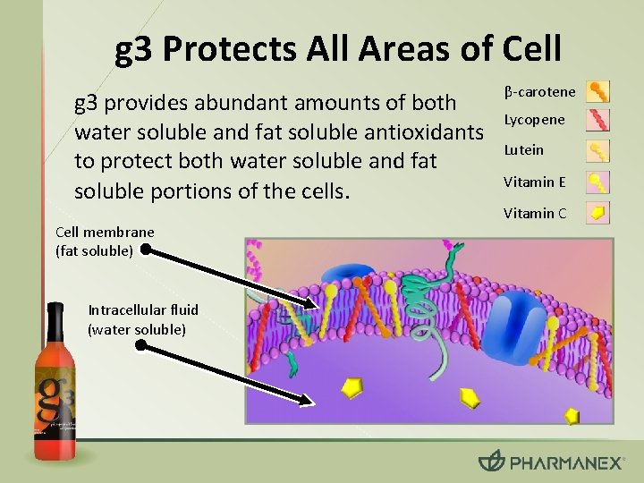 Api G 3 What is g 3 g 3 is a