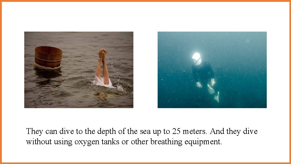 They can dive to the depth of the sea up to 25 meters. And They can dive to the depth of the sea up to 25 meters. And