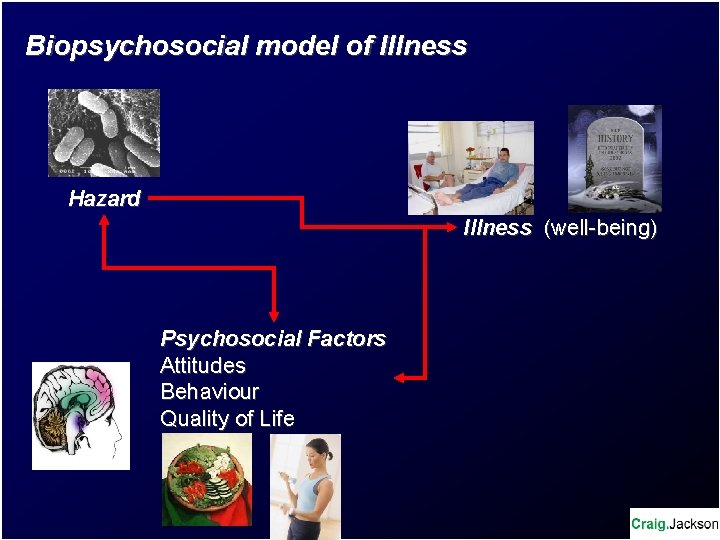 Biopsychosocial model of Illness Hazard Illness (well-being) Psychosocial Factors Attitudes Behaviour Quality of Life