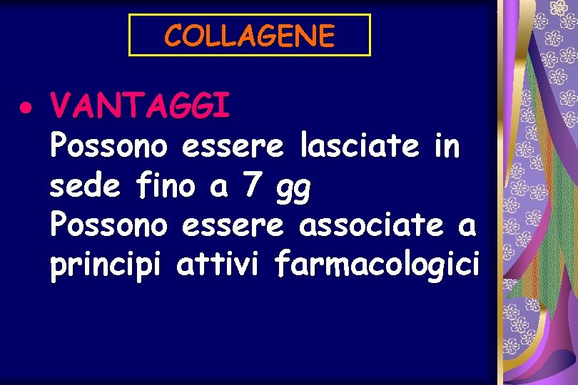 COLLAGENE · VANTAGGI Possono essere lasciate in sede fino a 7 gg Possono essere