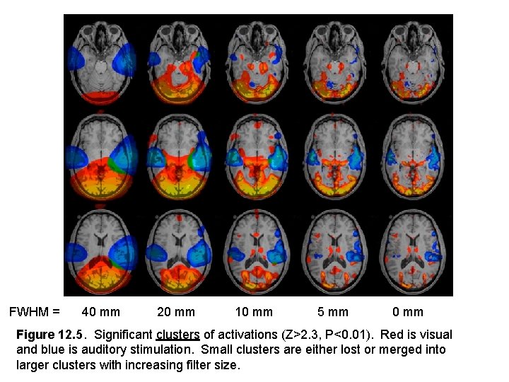 FWHM = 40 mm 20 mm 10 mm 5 mm 0 mm Figure 12.