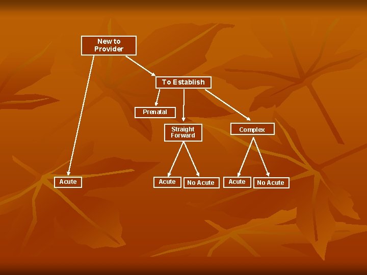Visit Types Teaching Effective Organization of Patient Visits