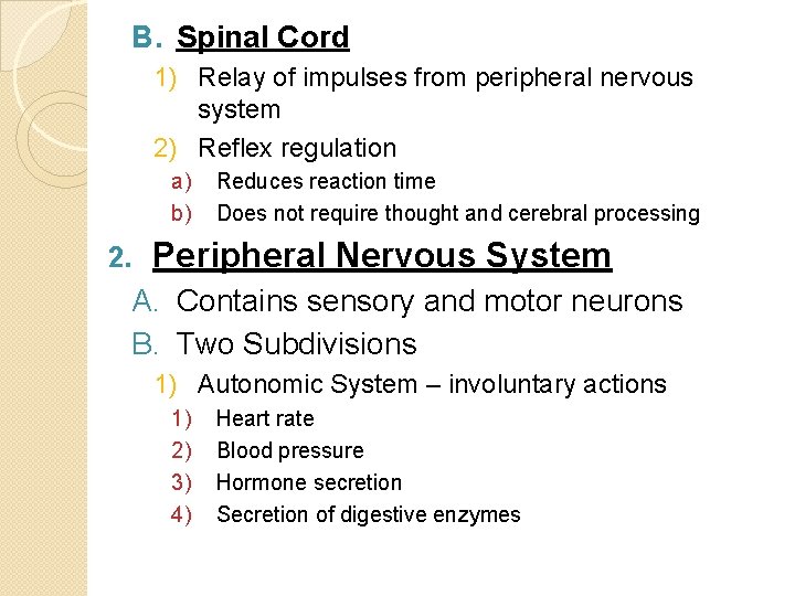 B. Spinal Cord 1) Relay of impulses from peripheral nervous system 2) Reflex regulation