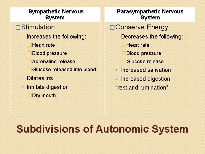 Sympathetic Nervous System � Stimulation ◦ Increases the following: Parasympathetic Nervous System � Conserve