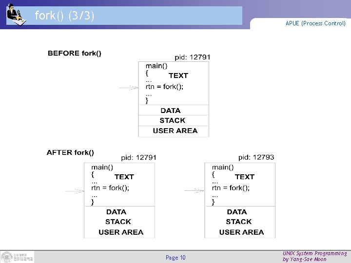 fork() (3/3) APUE (Process Control) Page 10 UNIX System Programming by Yang-Sae Moon 