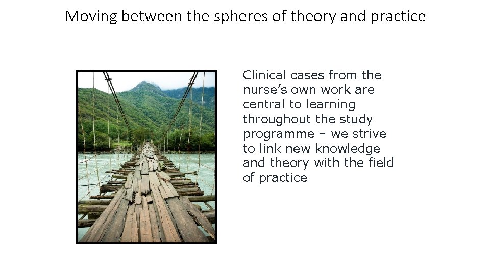 Moving between the spheres of theory and practice Clinical cases from the nurse’s own