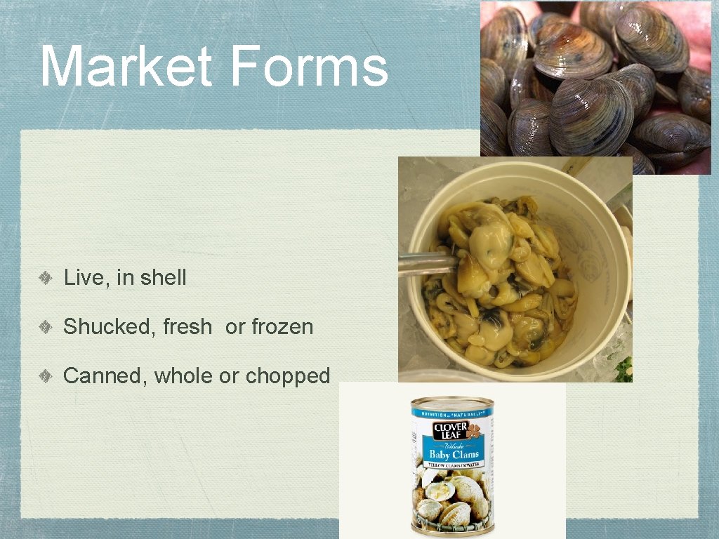 Market Forms Live, in shell Shucked, fresh or frozen Canned, whole or chopped 