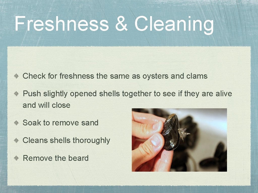 Freshness & Cleaning Check for freshness the same as oysters and clams Push slightly