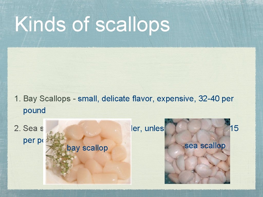 Kinds of scallops 1. Bay Scallops - small, delicate flavor, expensive, 32 -40 per