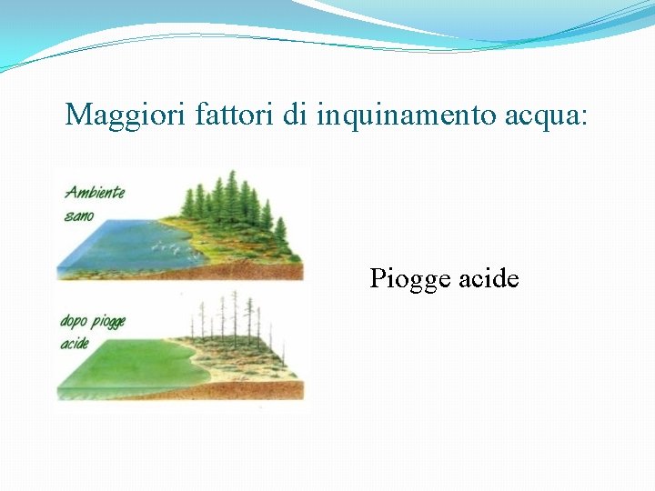 Maggiori fattori di inquinamento acqua: Piogge acide 