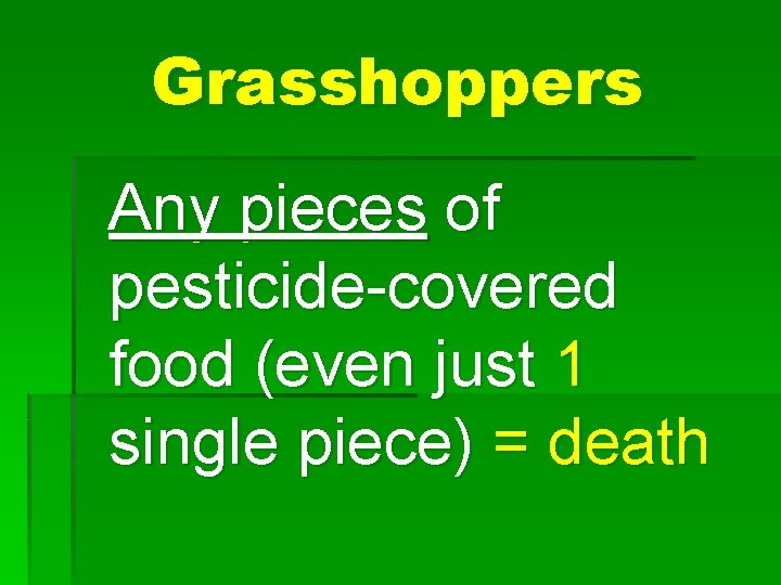 Grasshoppers Any pieces of pesticide-covered food (even just 1 single piece) = death 