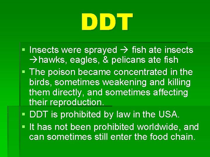 DDT § Insects were sprayed fish ate insects hawks, eagles, & pelicans ate fish