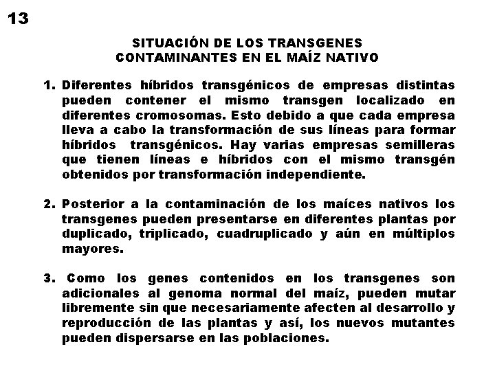 13 SITUACIÓN DE LOS TRANSGENES CONTAMINANTES EN EL MAÍZ NATIVO 1. Diferentes híbridos transgénicos