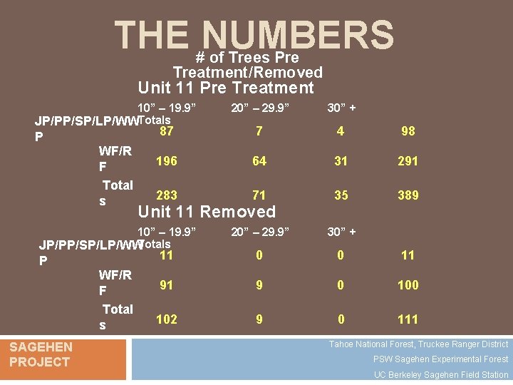 THE #NUMBERS of Trees Pre Treatment/Removed Unit 11 Pre Treatment 10” – 19. 9”